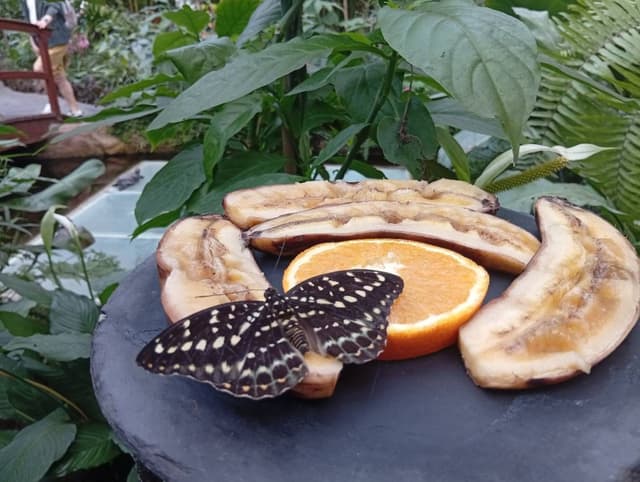 Foto 12 di Massimo D. (04/01/26)