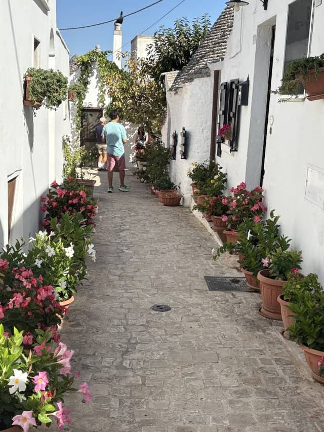 Photo 1 by Edward B. about hiring a Fiat 500 at Bari Airport (18.09.25)