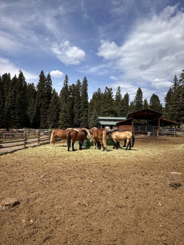 Photo 2 by Jessica G. about renting a Toyota Sequoia in Bozeman (8/22/25)