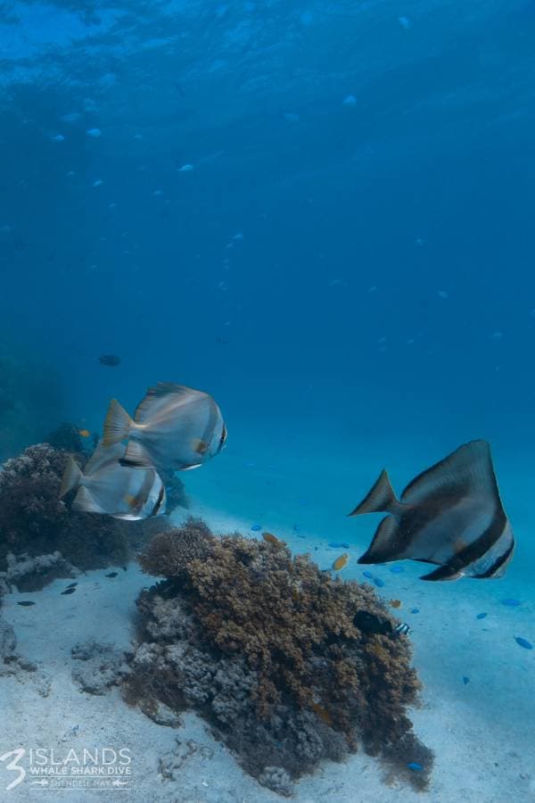 Photo 3 by Talya M. (5/5/23)