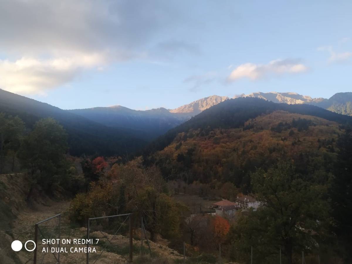 Photo 3 by Boris L. (11/10/24)
