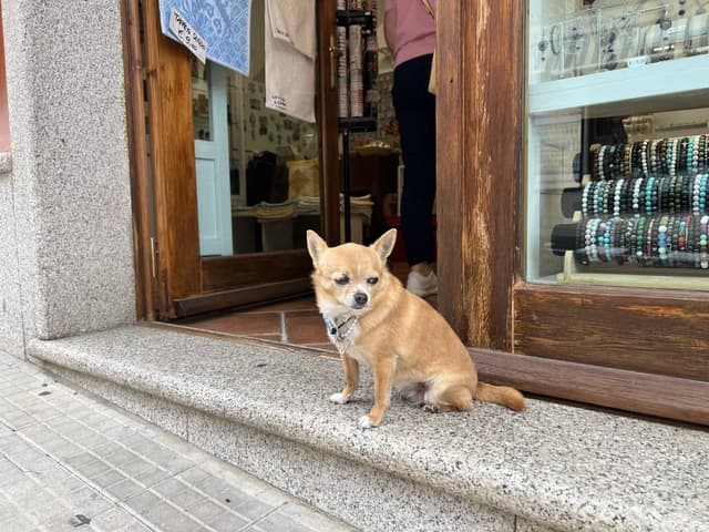 Фото 3 от Iryna M. об аренде Toyota Yaris в аэропорту Альгеро (14.05.24)