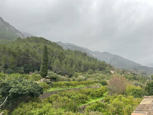 Photo 3 by Adrian K. about renting a Mercedes Benz A Class in the Balearic Islands (2/15/25)
