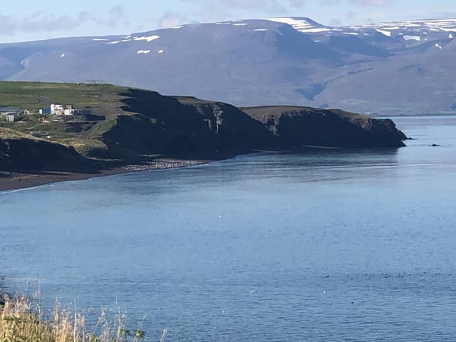 Foto 2 av Styrbjoern F. om att hyra en Suzuki Vitara i Reykjavik (22-09-15)