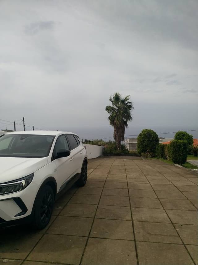 Zdjęcie wykonane przez Cezary W. (19.11.24)