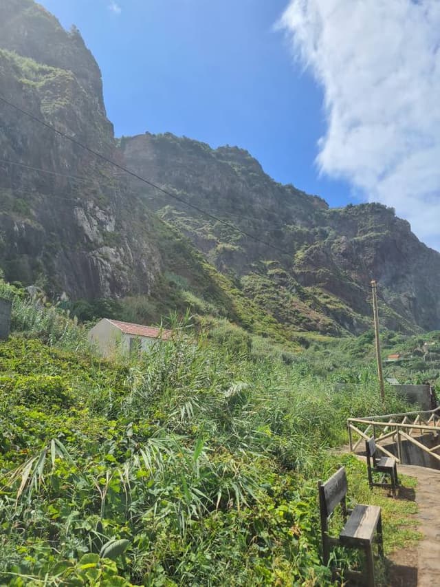 Foto 2 de Marta Sofia D. sobre o aluguer de um Fiat Panda em Madeira (04/09/25)