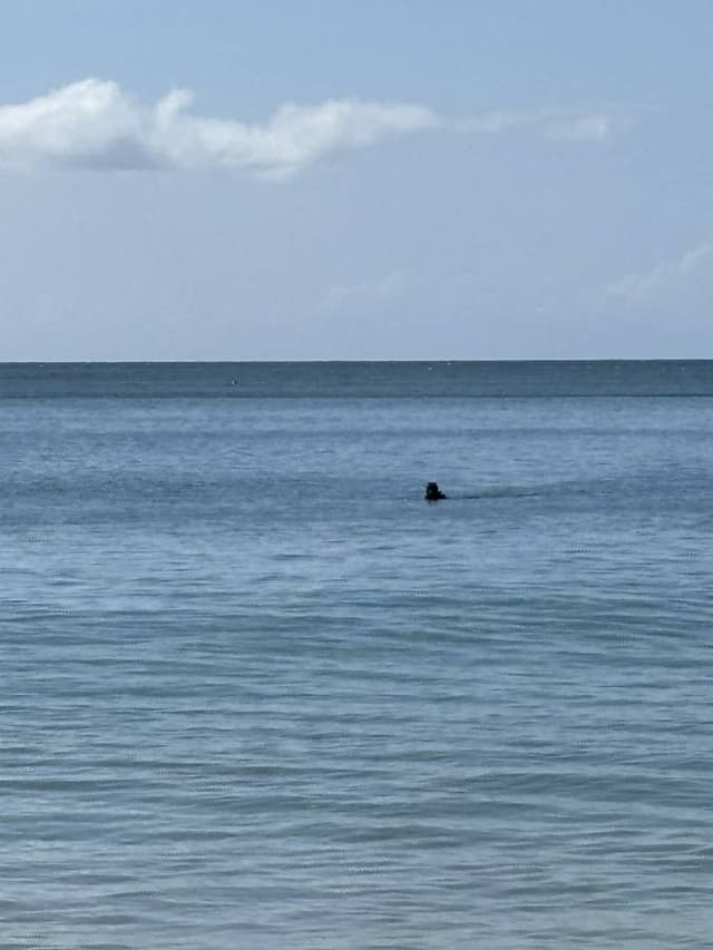 Photo 3 by Carol L. about renting a Renault Captur at Pointe a Pitre Airport (6/9/25)