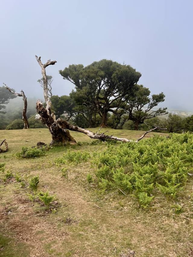 Foto 4 di GIAN LUCA G. (18/06/26)
