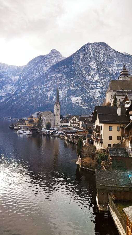 Foto 1 de Silvia P. (27/12/25)