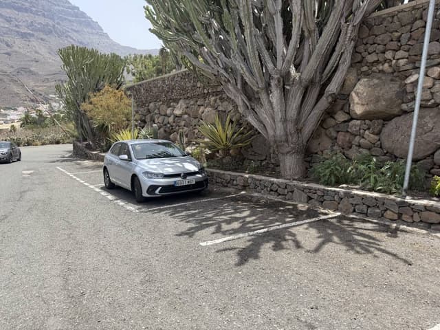 Photo by Maik N. (8/10/25)