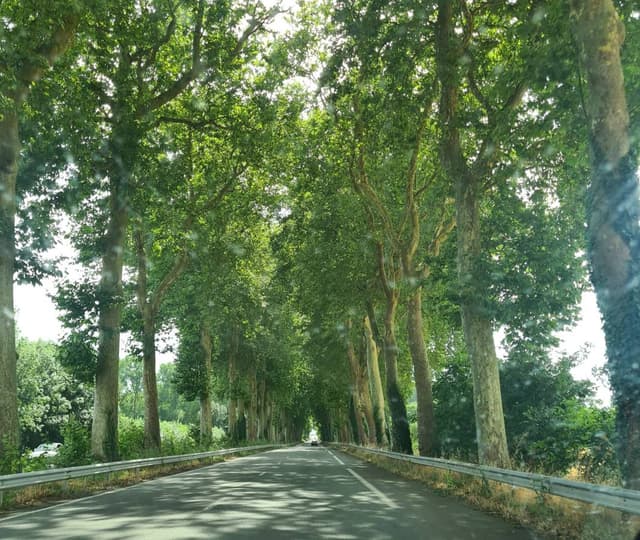 Photo 3 by James R. about renting a Peugeot 108 at Bordeaux Airport (7/31/24)