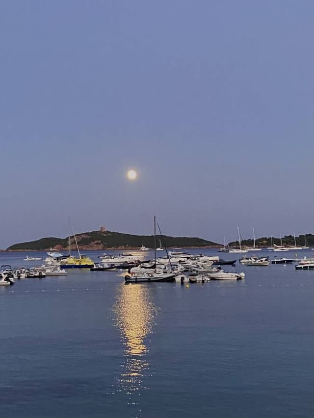 Photo 1 by Andjelin M. about renting a Jeep Avenger at Corsica Ajaccio Airport (8/8/23)