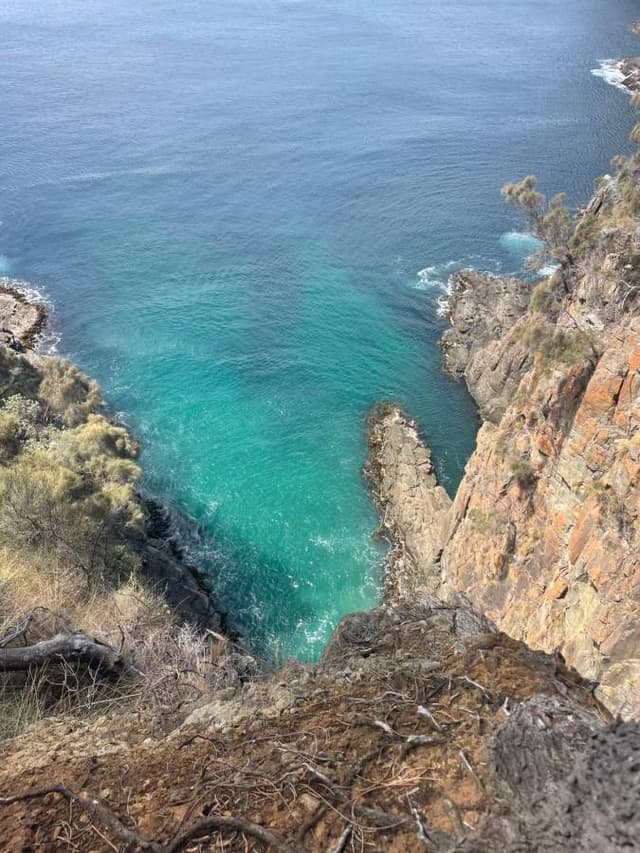 Photo 2 by Murray S. (2/8/26)