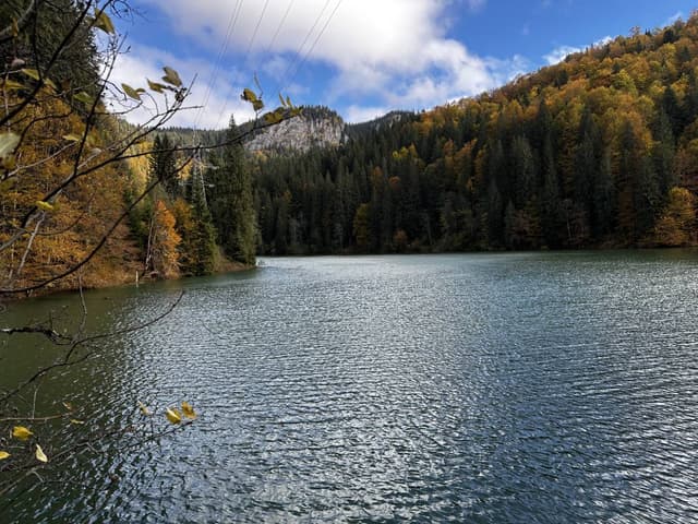 תמונה 2 מאת uri Z. (17.10.25)