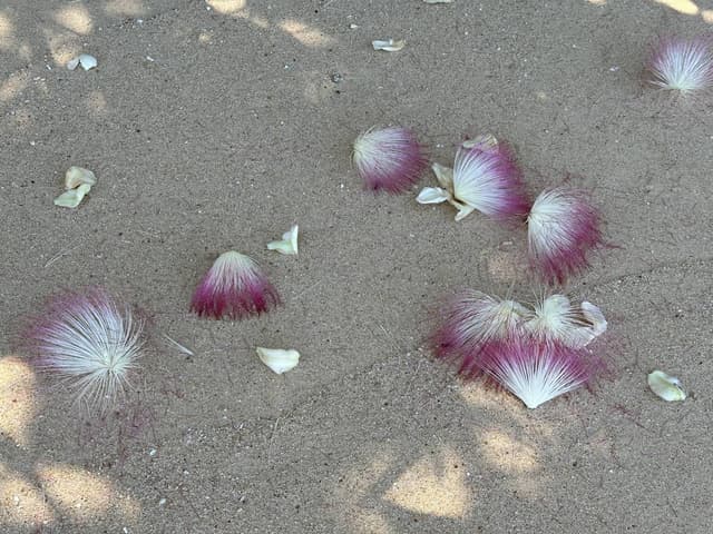 Foto 4 von Roland Reinhard B. (4.2.26)