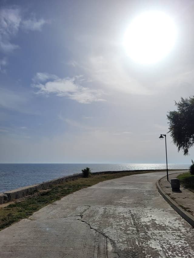 Zdjęcie 3 wykonane przez Monika M. (28.10.23)