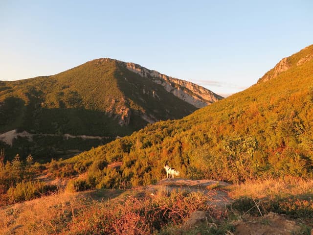 Foto 2 von Hannah S. über die Anmietung eines Kia Picanto in Albanien (6.10.25)