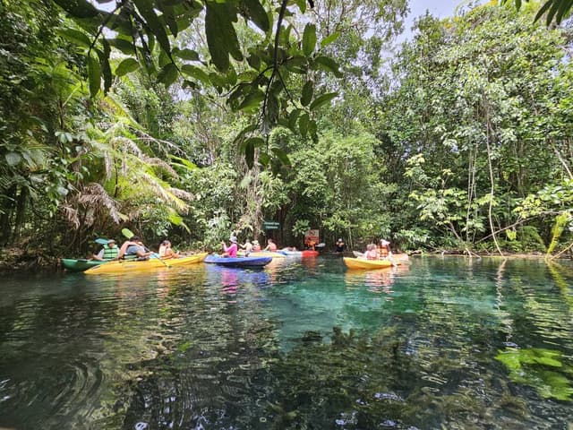 Photo 2 by Pei Yee S. (8/26/24)