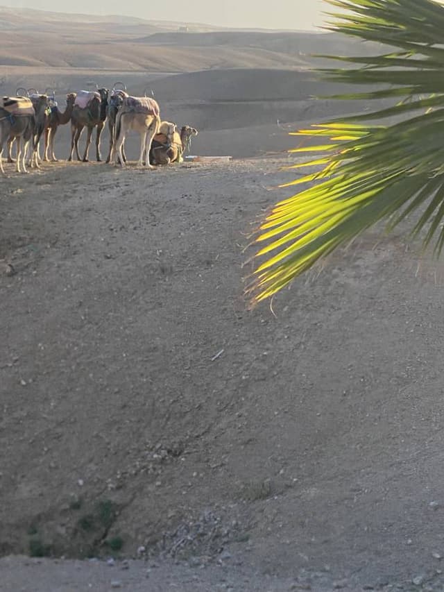 Zdjęcie 5 wykonane przez Zbigniew S. (19.11.23)