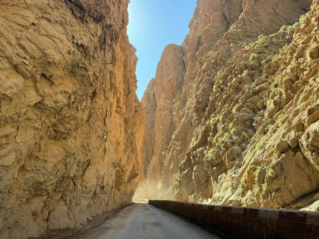 Foto 4 van Fernand D. (10-11-24)