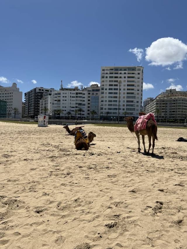 Foto 5 de Rui C. (05/05/25)