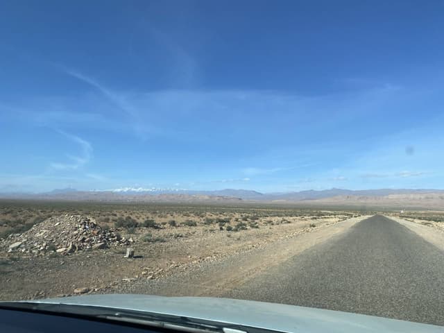 Photo 3 by niels H. (12/6/24)