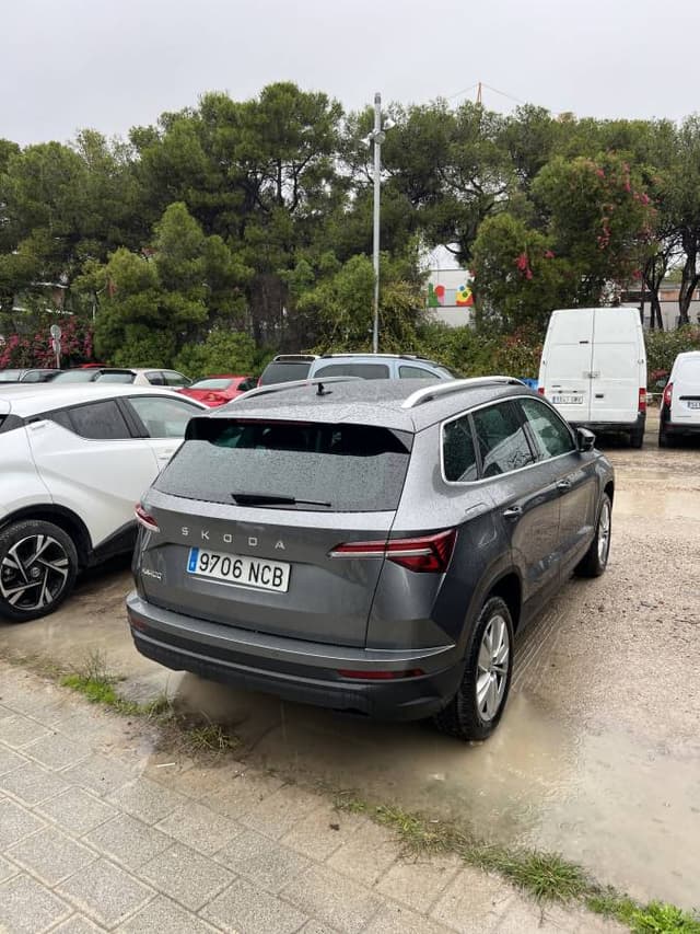 Photo 1 by Nazarii T. (11/13/25)