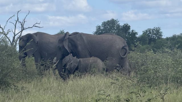 Photo 3 by Faisal A. (4/18/26)