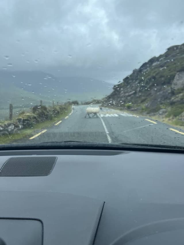 Photo 3 by Victoria D. about renting a Skoda Citigo in Dublin (7/8/24)
