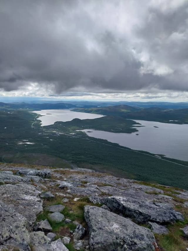 Henkilön Tuija S. kuva 1 (23.7.23)