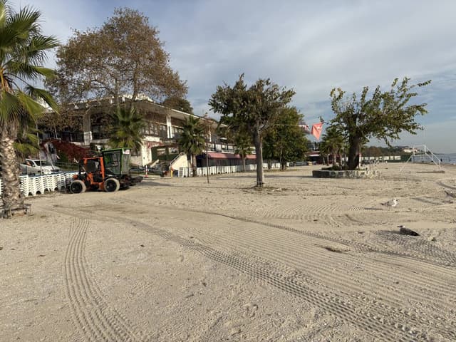 Photo 3 by John Winston T. (11/11/25)