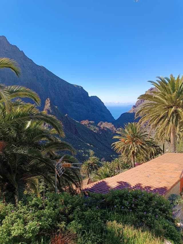 Photo by Wojciech W. (2/10/26)