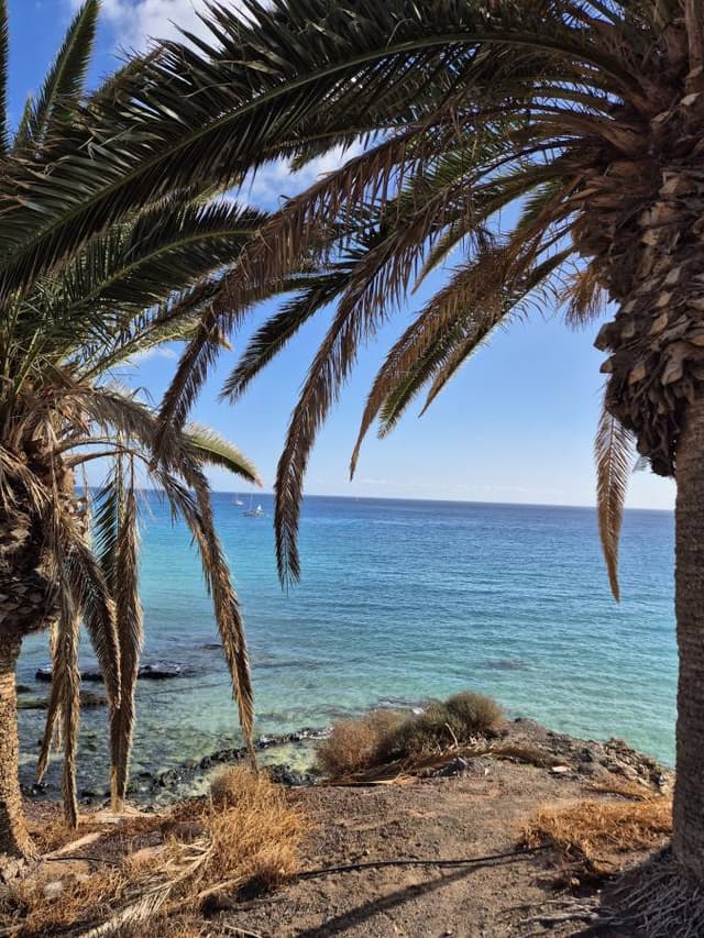 Foto 10 od Roman P. (7. 12. 25)