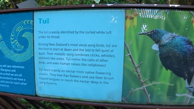 Photo 2 by Alain B. about hiring a Mazda Demio at Christchurch Airport (20/11/25)