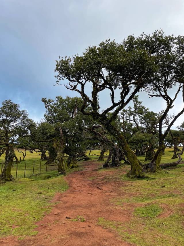 Foto 3 van Hanne V. (10-4-25)