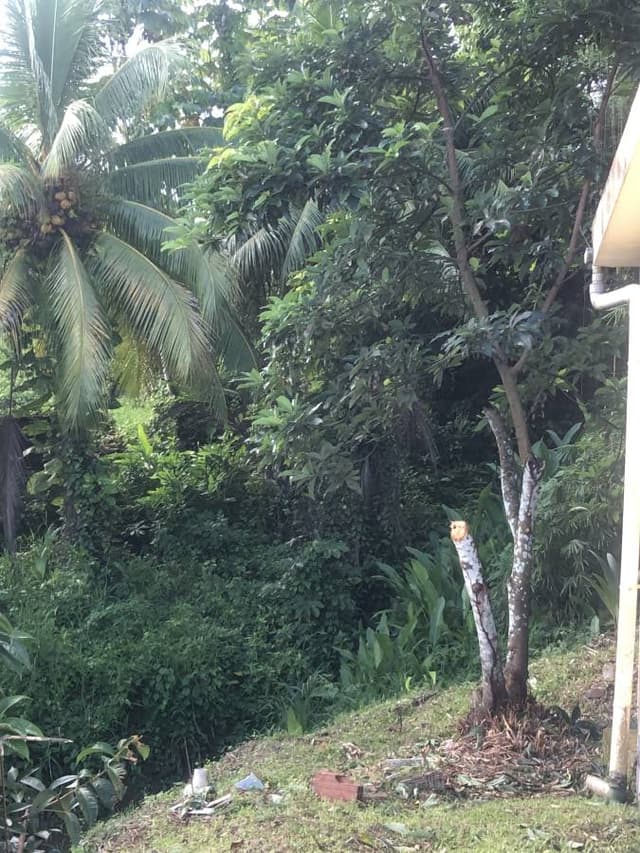 Photo 3 par Yvelise M. (21/09/25)