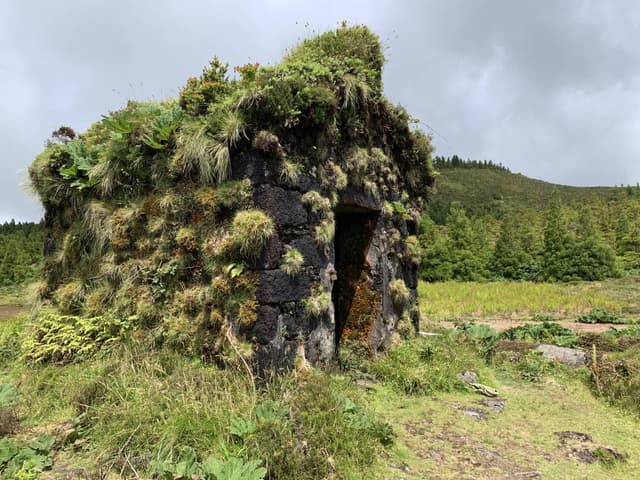 Foto 2 van Harry K. (8-6-23)