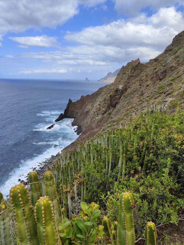 Foto 4 von Jan V. über die Anmietung eines Citroen C3 auf Teneriffe (31.3.24)