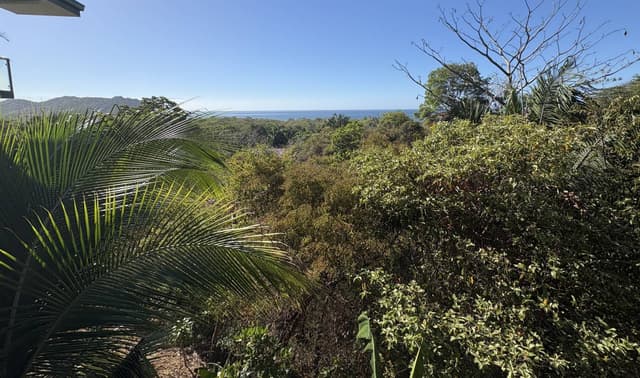 Photo 3 by Michele C. (3/20/26)