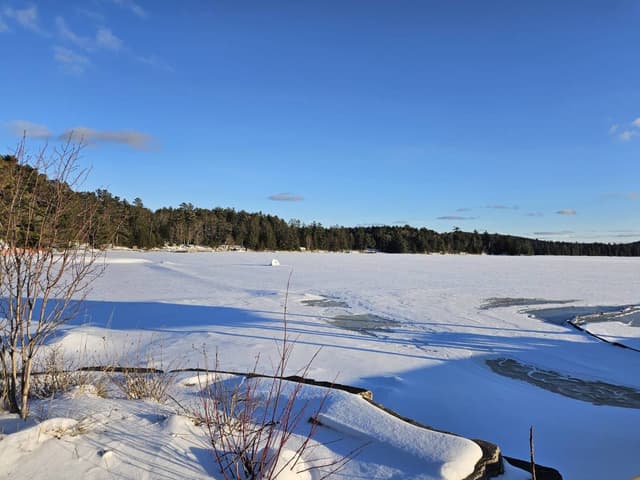 Photo 3 by Suyinani G. (3/24/26)