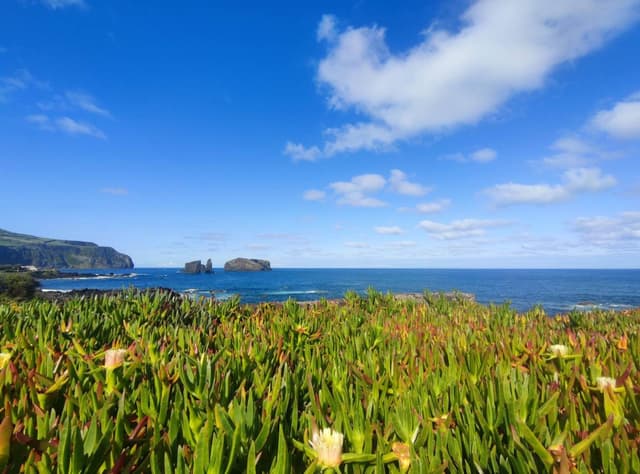 Photo 7 by Slawomir D. about hiring a Volkswagen T-Cross at Ponta Delgada Airport (15.06.25)