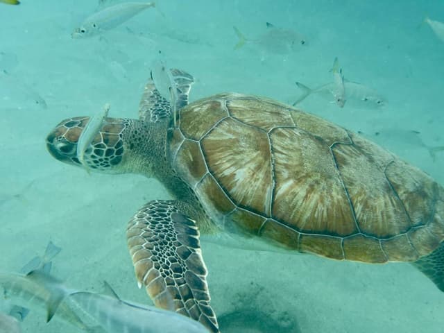 Foto 1 van David U. over het huren van een Hyundai Creta op Curaçao (30-5-24)