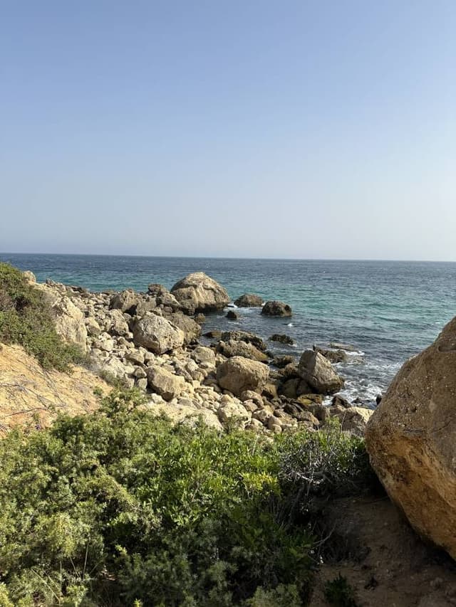 Photo 4 by Valerie B. (8/26/24)