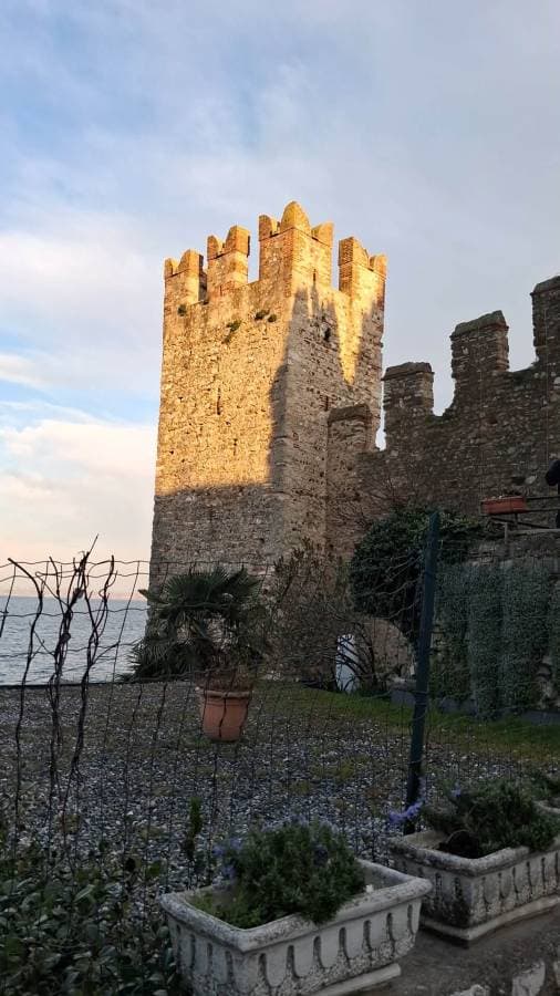 Photo 6 par Eldorado C. (02/04/26)