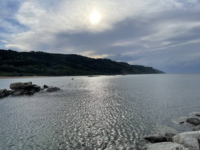 Photo 3 by John G. (5/11/26)