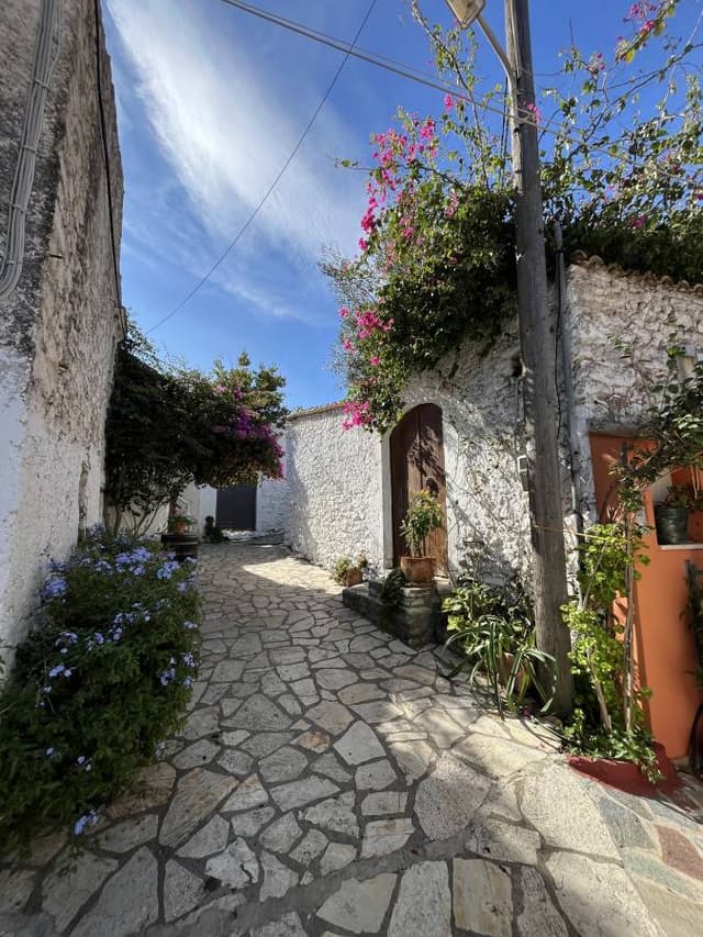 Photo 2 par BEATRICE O. (21/10/25)