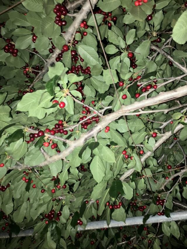 Photo 3 by Wynn N. (6/21/26)