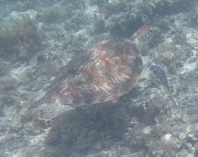 Photo 3 by Coralie U. (2/22/26)