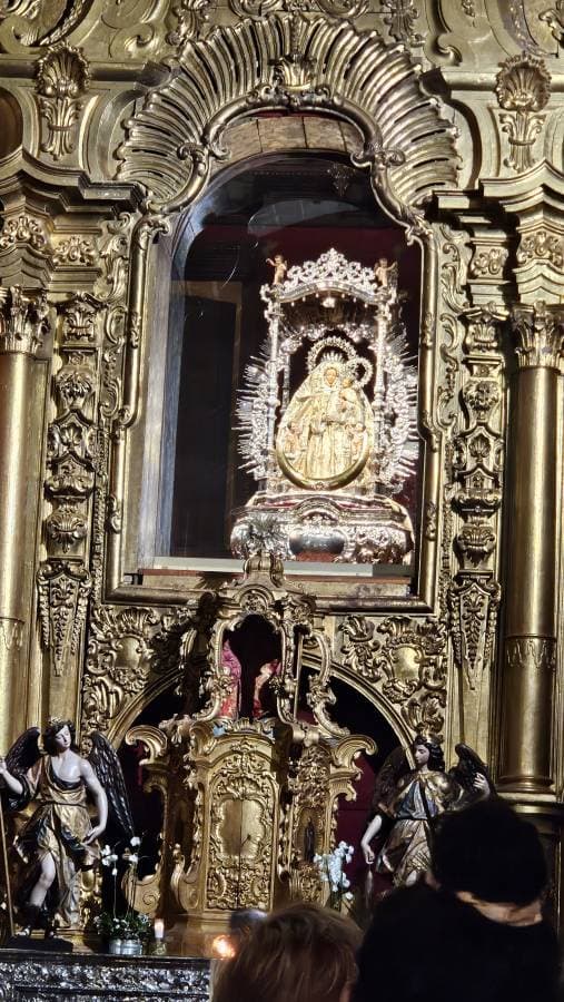 Photo 8 by Ostorhazi L. (11/12/25)