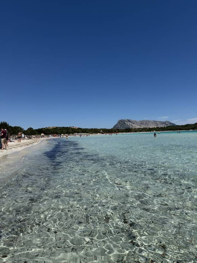 Henkilön Tiia Maria H. kuva 6 (29.5.26)